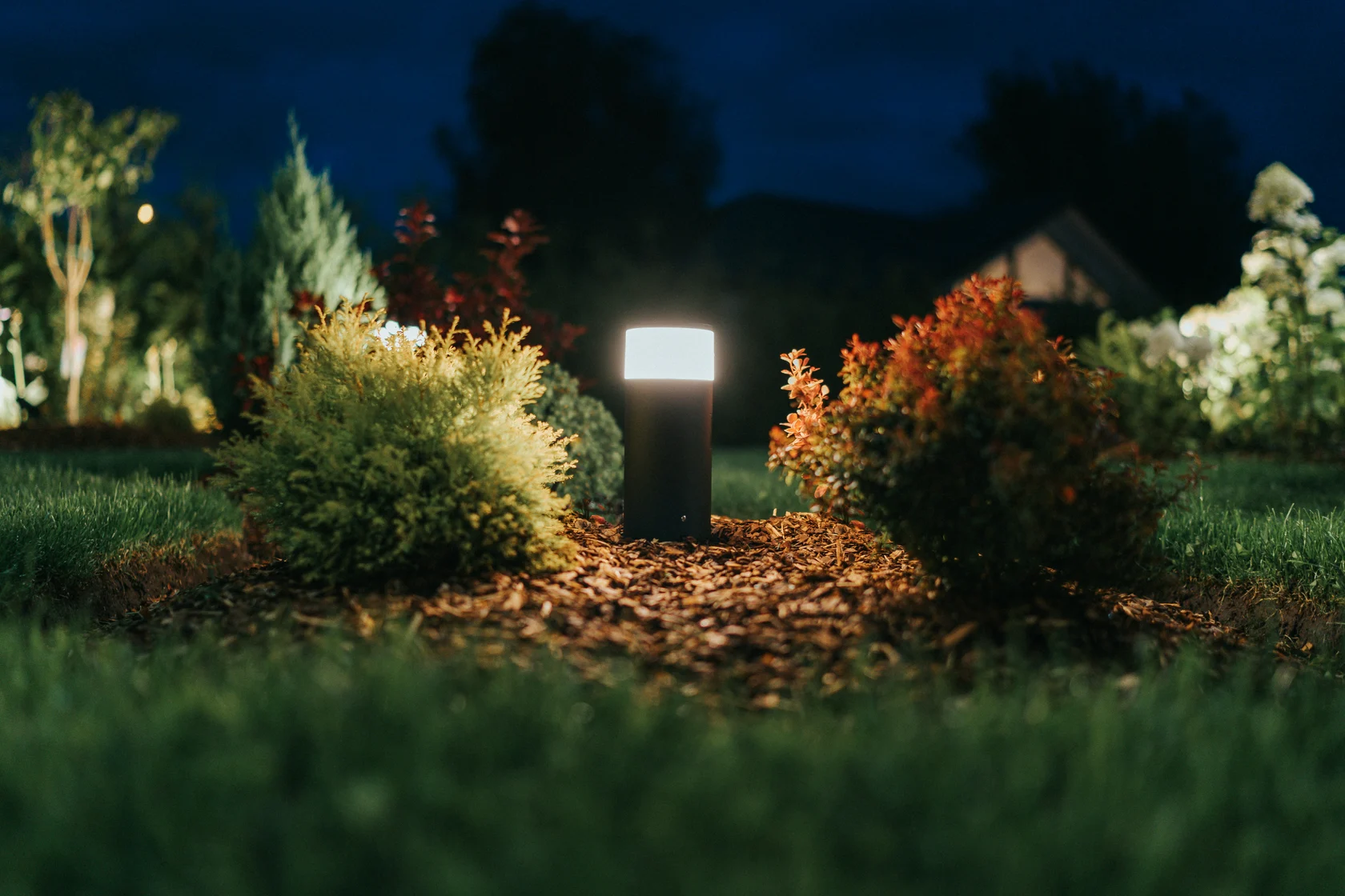 A low garden light among red and green shrubs at night.